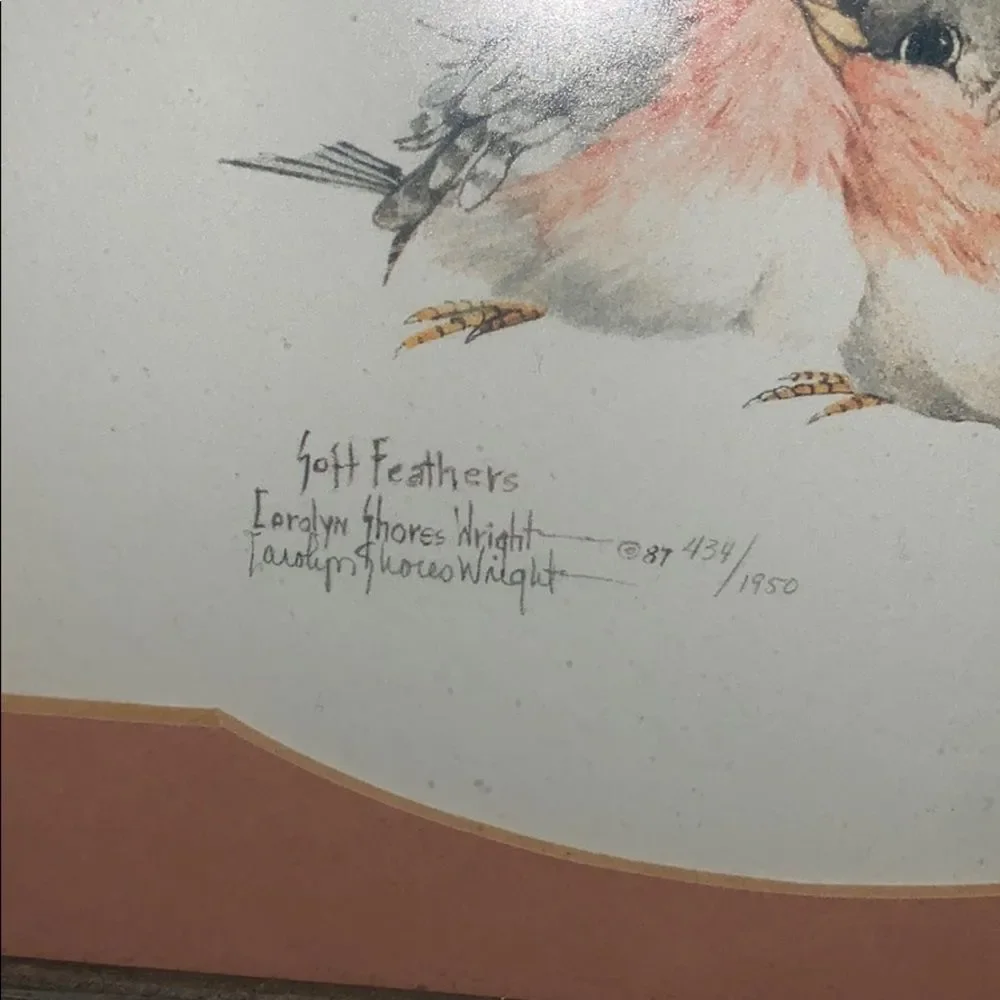 Carolyn Shores Wright Signed Numbered Framed Bird Print Soft Feathers 1987 Vtg